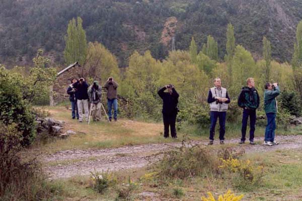 Pyreneeën 2002
